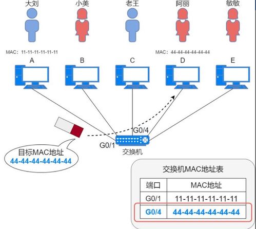 一文读懂计算机网络 从软硬件基础到开发实践